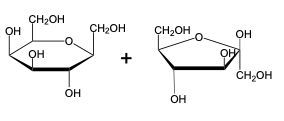 monosaccharide units