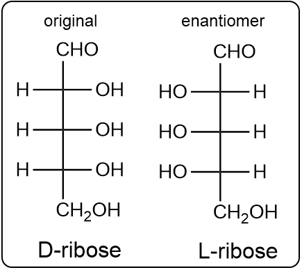 Comparison of D-ribose and its enantiomer L-ribose structures.