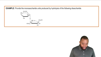 Hydrolysis of Glycosidic Linkage Example 2