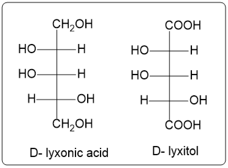 Fischer projections of D-lyxonic acid and D-lyxitol with labels.