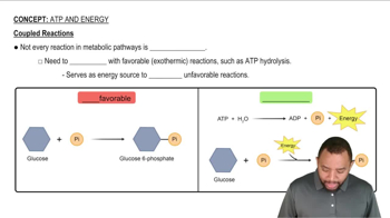 Coupled Reactions Concept 3