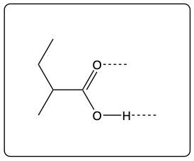 Structure of ethyl propionate with dashed lines indicating potential hydrogen bond sites.