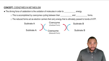 Coenzymes in Metabolism Concept 1