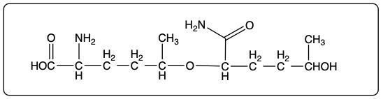 Ester product structure formed from the unnatural amino acid and another molecule.