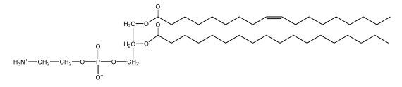 cephalin