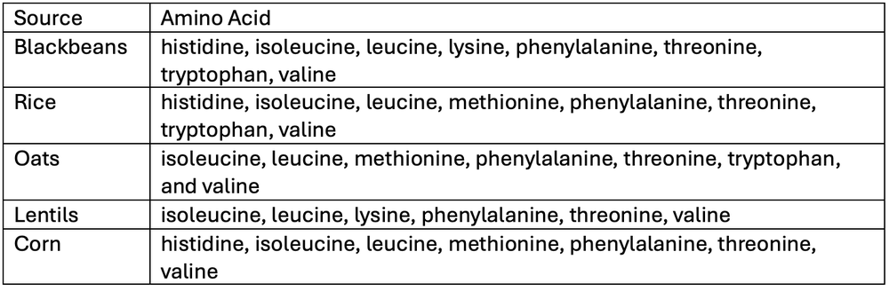 Table showing amino acids in blackbeans, rice, oats, lentils, and corn for essential amino acid analysis.