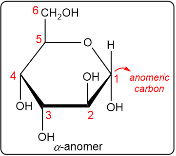 Cyclic structure showing carbon numbering and anomeric carbon for alpha anomer.