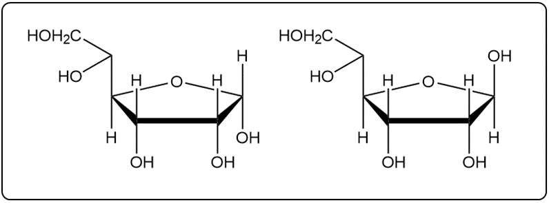 Cyclic structures of alpha and beta anomers of D-mannose in pyranose form.