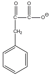 Structure of phenylpyruvate, an α-keto acid from phenylalanine.