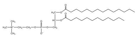 glycerophospholipid