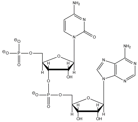 Structure of dinucleotide AC in RNA, showing phosphate and ribose components.