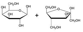 monosaccharide units