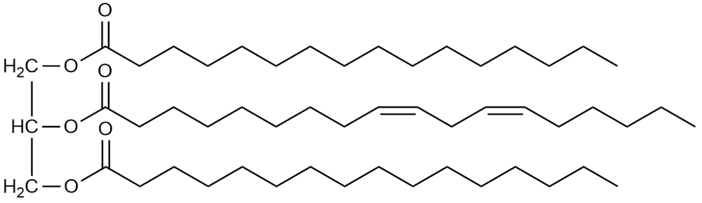 Chemical structure of a triglyceride, illustrating its fatty acid chains and glycerol backbone.