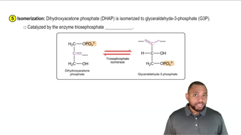 Glycolysis Concept 5