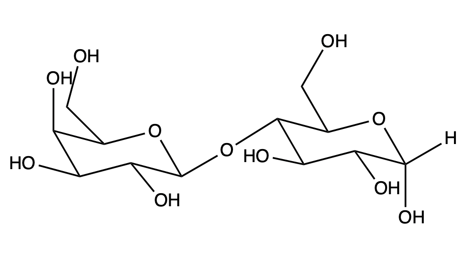 Disaccharide structure of two D-galactose sugars linked by a β-1,4 glycosidic bond.