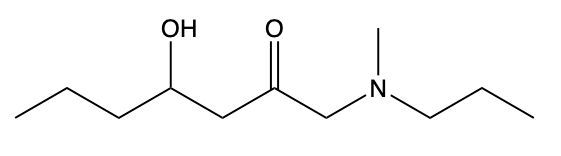 amide structure