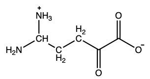 α-keto acid