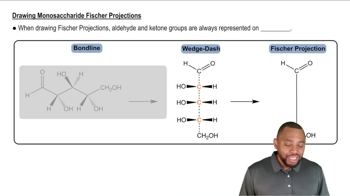 Fischer Projections Concept 2