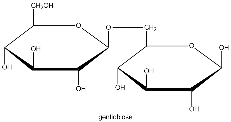 Chemical structure of gentiobiose, a disaccharide made of two glucose molecules.