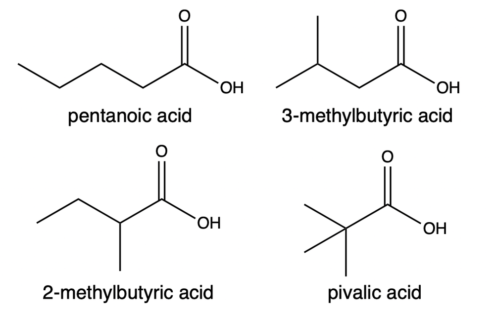 Structures of pentanoic acid, 3-methylbutyric acid, 2-methylbutyric acid, and pivalic acid with names labeled.