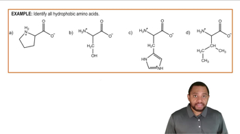 Amino Acid Classifications Example 1