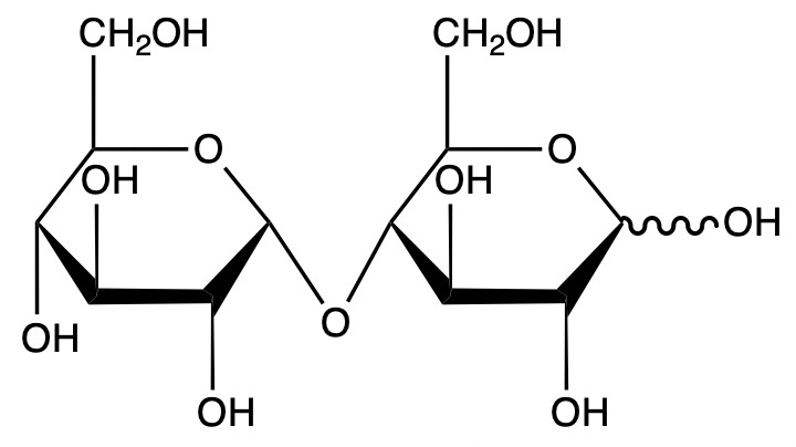 Chemical structures of maltose showing α and β forms for disaccharide comparison.