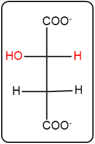 Chemical structure showing product in the citric acid cycle with water atoms from step 7.