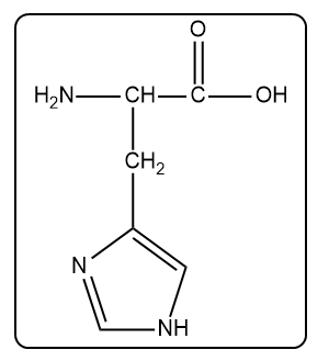 Structure of histidine at physiological pH, showing its amino and carboxyl groups.