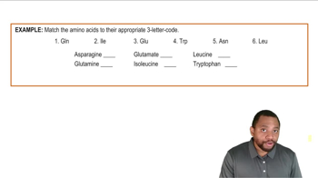 Amino Acid Three Letter Codes Example 1