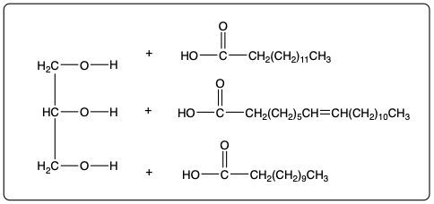 Chemical structure showing reactants for fat saponification in ester reactions.