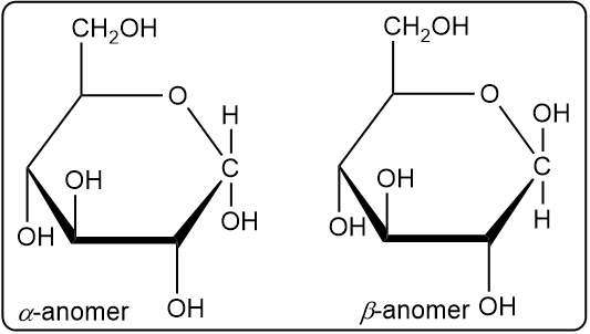 Cyclic hemiacetal forms of D-galactose: α-anomer on the left, β-anomer on the right.