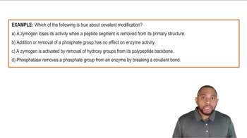 Phosphorylation/Dephosphorylation Example 2