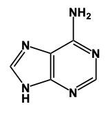 Chemical structure of adenine, a nitrogenous base with multiple nitrogen atoms.