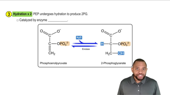 Gluconeogenesis Concept 4