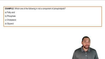 Glycerophospholipids Example 1