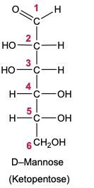 sugar alcohol Fischer projection