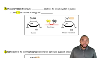 Glycolysis Concept 2