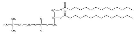 glycerophospholipid