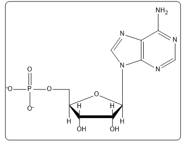 Illustration of adenosine 5'-phosphate with distinct structural features.