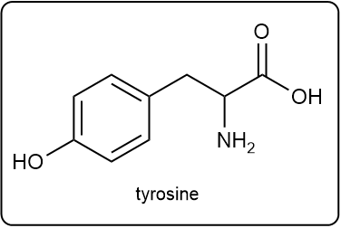 Structure of tyrosine, an amino acid with the code 'Tyr'.