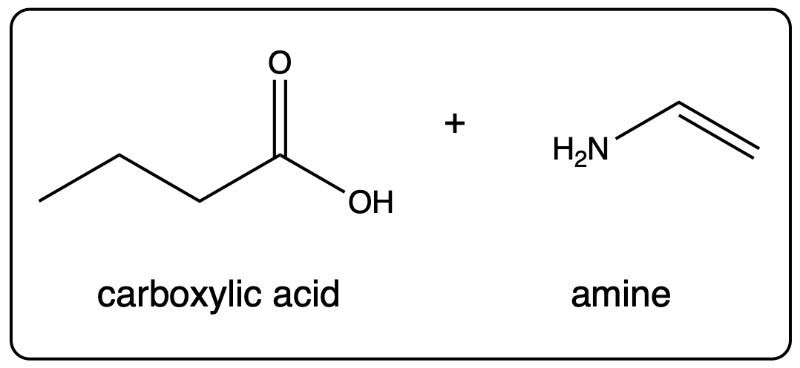 Carboxylic acid and amine structures from a different amide hydrolysis.