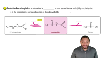 Ketone Bodies Concept 6