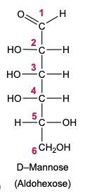 sugar alcohol Fischer projection