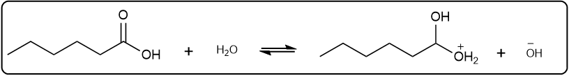 Balanced equation for hexanoic acid ionization in water with hydronium ion.