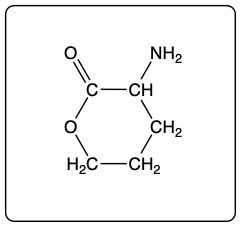 Lactone structure formed from intramolecular reaction of hydroxyl and carboxyl groups.