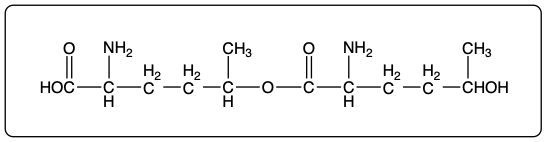 Ester product structure with multiple functional groups from the reaction.