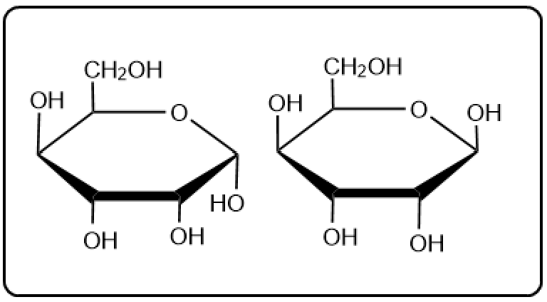 Two disaccharide structures, highlighting their molecular arrangement for educational purposes.