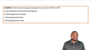 Glycolysis Summary Example 3