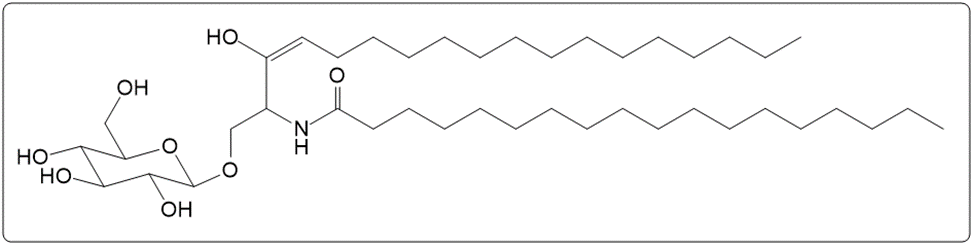 Chemical structure of a cerebroside with D-glucose, sphingosine, and stearic acid.