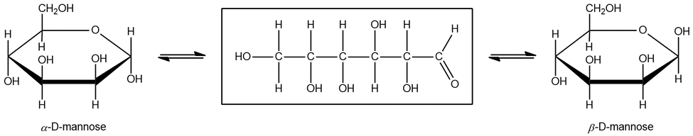 Mutarotation reaction of D-mannose with a missing structure between alpha and beta forms.